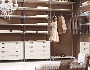 lacquer walk in closet organizer design