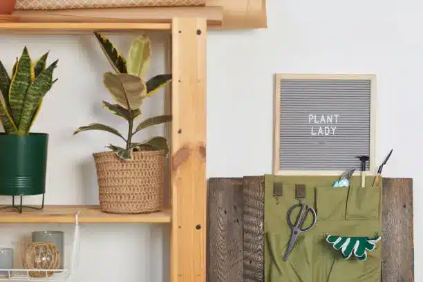 Beautiful Custom Closets for Organized Plant Parents