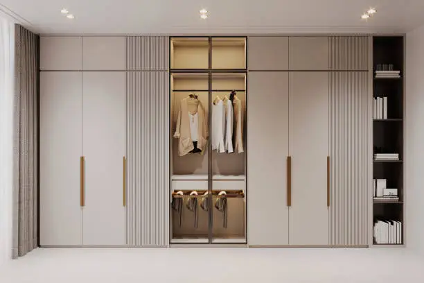 Built-In Closet Systems for Seamless Home Organization